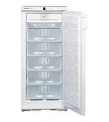 Холодильник Liebherr GSN 2423