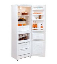 Холодильник Nord 184-7-321