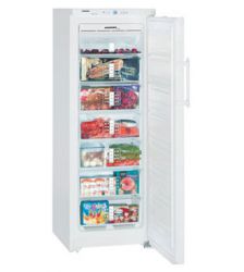 Холодильник Liebherr GN 2756