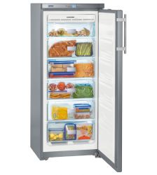 Холодильник Liebherr GNsl 2323