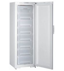 Холодильник Gorenje F 61300 W