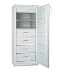 Холодильник Snaige F245-1704A