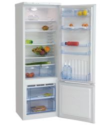 Холодильник Nord 218-7-029